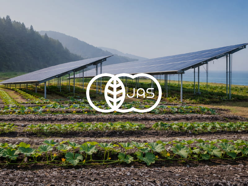 三陸の海の恵みで、土を育てる。有機JAS認証：万次郎かぼちゃ・ポアロかぼちゃへの挑戦。