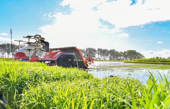 農業の6次産業化